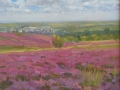 1-DSCN1500