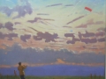 Kite Flying at Burbage