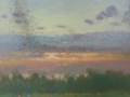 Winter Murmuration
