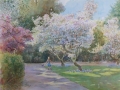 Magnolia